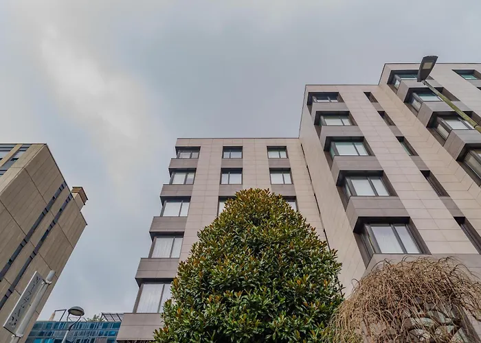 503 By Toh Solution * Turin